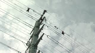 Đường dây điện cao thế hơn 700 tỷ đồng vừa đóng điện ở Sài Gòn
